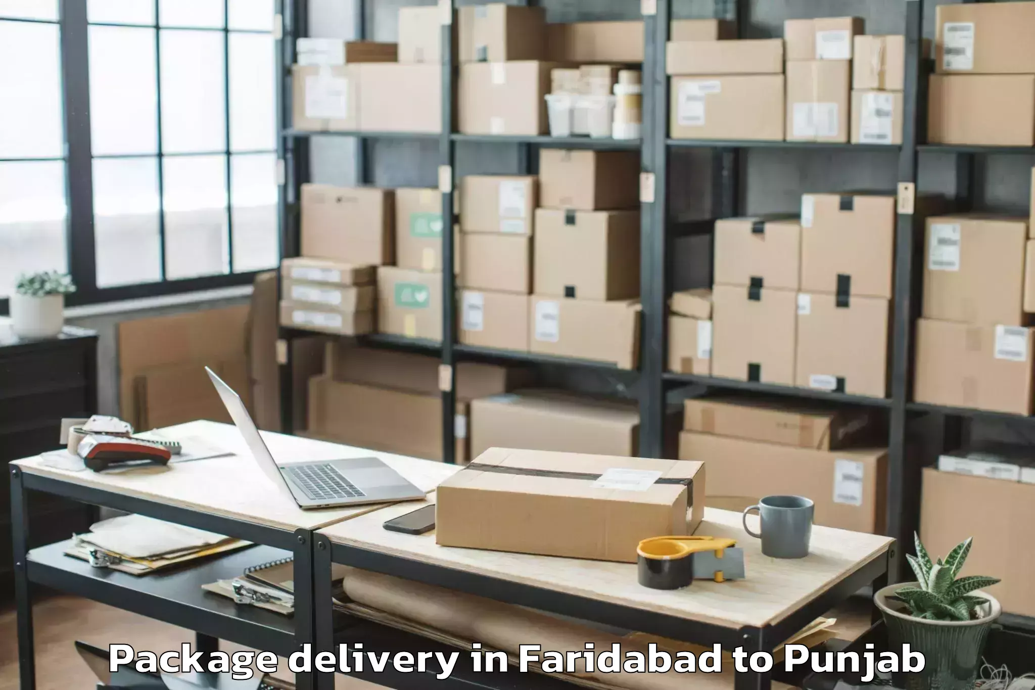 Quality Faridabad to Badhni Kalan Package Delivery